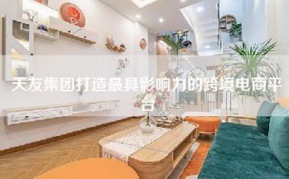 天友集团打造最具影响力的跨境电商平台