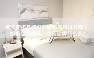 哪些橱柜品牌好？橱柜品牌排名前十、橱柜品牌推荐、橱柜品牌怎么选？