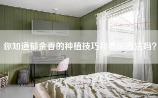 你知道郁金香的种植技巧和养护方法吗？