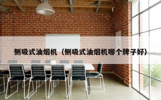 侧吸式油烟机（侧吸式油烟机哪个牌子好）