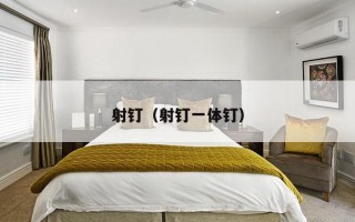 射钉（射钉一体钉）