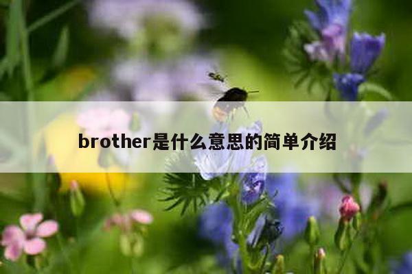 brother是什么意思的简单介绍-第1张图片