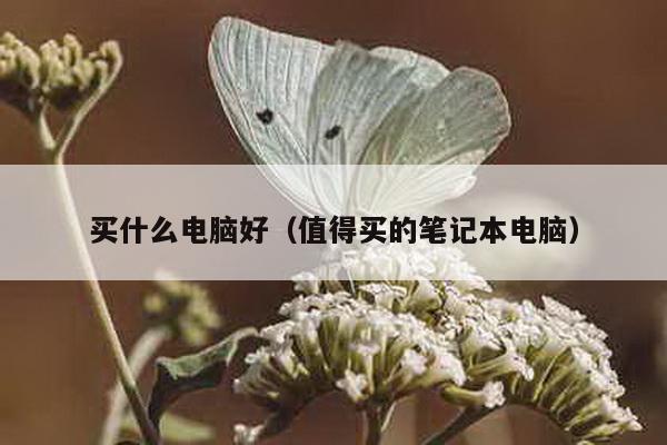 买什么电脑好（值得买的笔记本电脑）-第1张图片