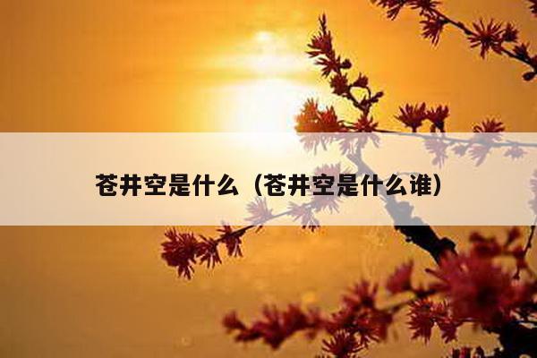      是什么（     是什么谁）-第1张图片