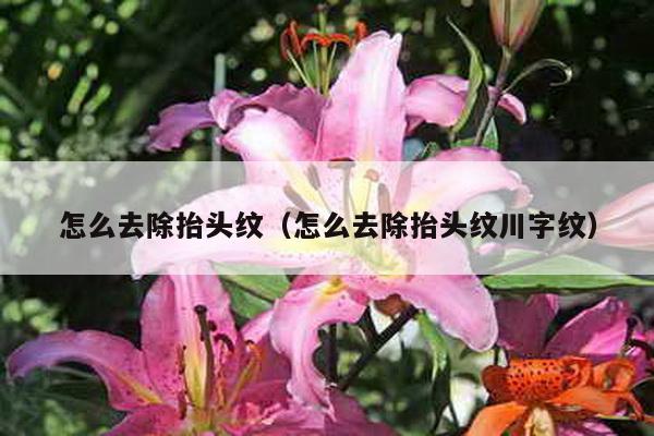 怎么去除抬头纹（怎么去除抬头纹川字纹）-第1张图片