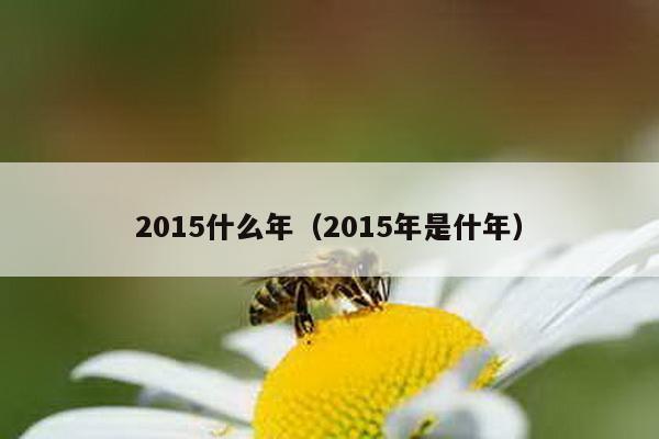 2015什么年（2015年是什年）-第1张图片