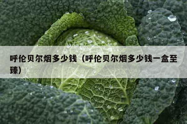 呼伦贝尔烟多少钱（呼伦贝尔烟多少钱一盒至臻）-第1张图片