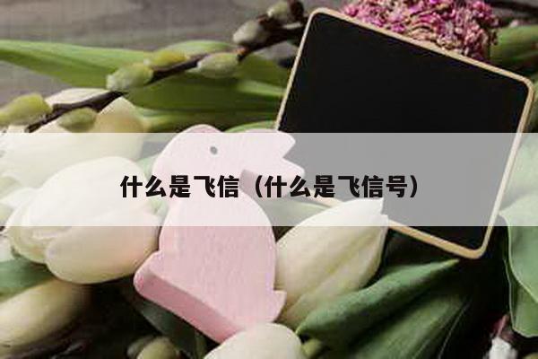 什么是飞信（什么是飞信号）-第1张图片