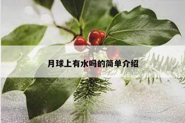 月球上有水吗的简单介绍-第1张图片