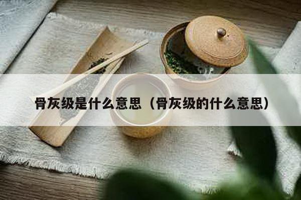 骨灰级是什么意思（骨灰级的什么意思）-第1张图片