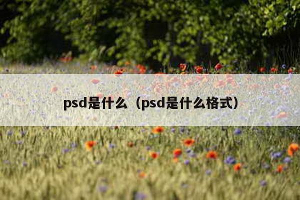 psd是什么（psd是什么格式）-第1张图片