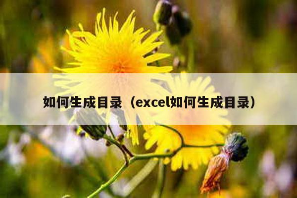 如何生成目录（excel如何生成目录）-第1张图片