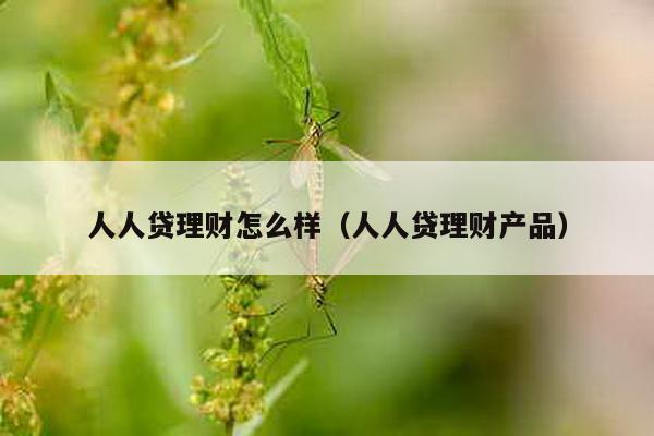 人人贷理财怎么样（人人贷理财产品）-第1张图片