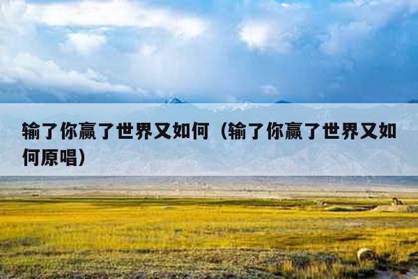 输了你赢了世界又如何（输了你赢了世界又如何原唱）-第1张图片
