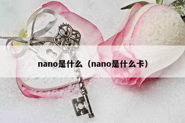 nano是什么（nano是什么卡）-第1张图片