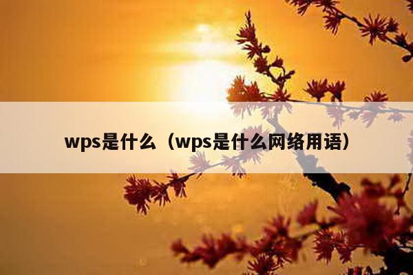wps是什么（wps是什么网络用语）-第1张图片