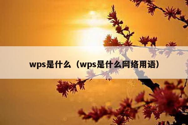 wps是什么（wps是什么     用语）-第1张图片