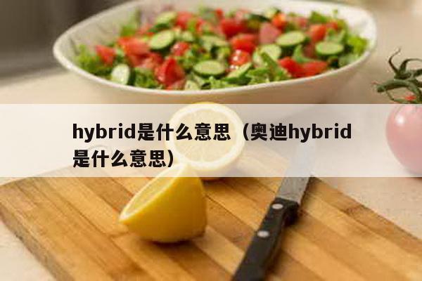 hybrid是什么意思（奥迪hybrid是什么意思）-第1张图片