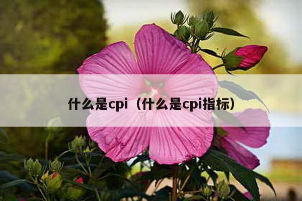 什么是cpi（什么是cpi指标）-第1张图片