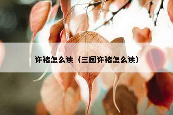 许褚怎么读（三国许褚怎么读）-第1张图片