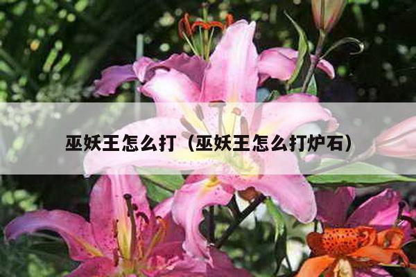 巫妖王怎么打（巫妖王怎么打炉石）-第1张图片