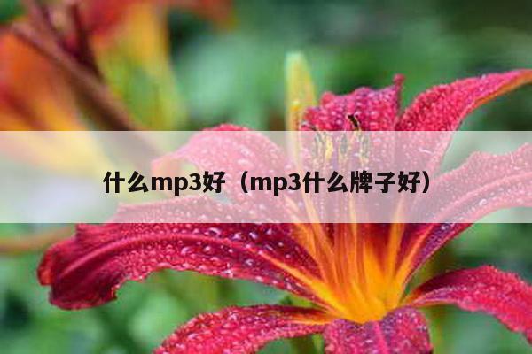 什么mp3好（mp3什么牌子好）-第1张图片