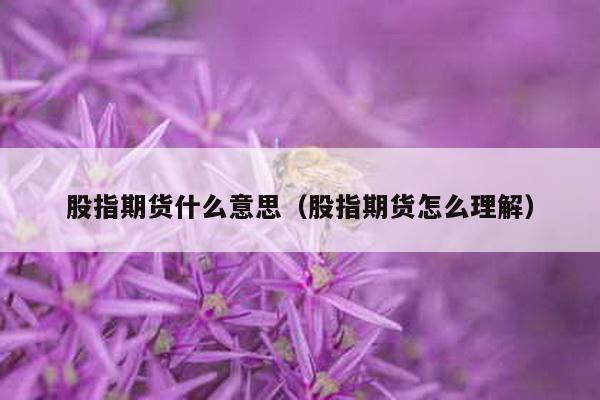 股指期货什么意思（股指期货怎么理解）-第1张图片