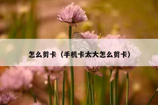 怎么剪卡（手机卡太大怎么剪卡）-第1张图片