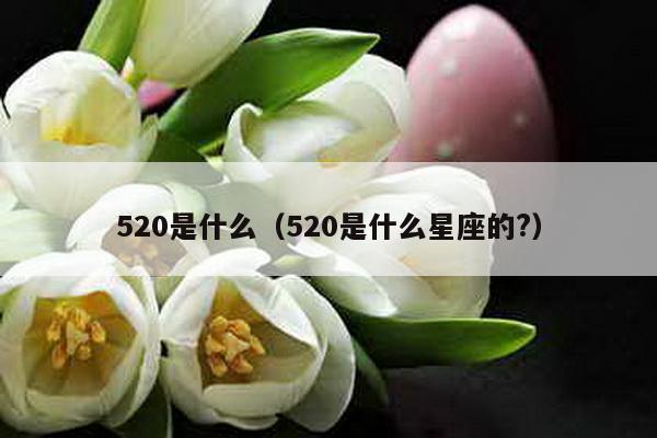 520是什么（520是什么星座的?）-第1张图片