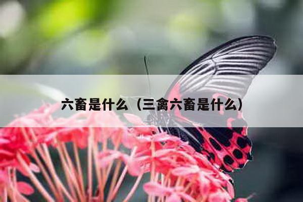 六畜是什么（三禽六畜是什么）-第1张图片