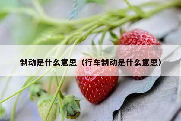 制动是什么意思（行车制动是什么意思）-第1张图片