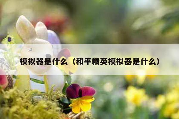 模拟器是什么（和平精英模拟器是什么）-第1张图片
