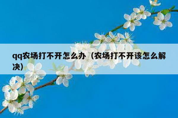 qq农场打不开怎么办（农场打不开该怎么解决）-第1张图片