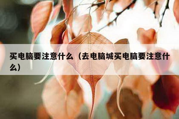 买电脑要注意什么（去电脑城买电脑要注意什么）-第1张图片