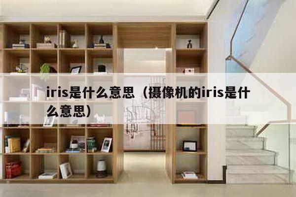 iris是什么意思（摄像机的iris是什么意思）-第1张图片