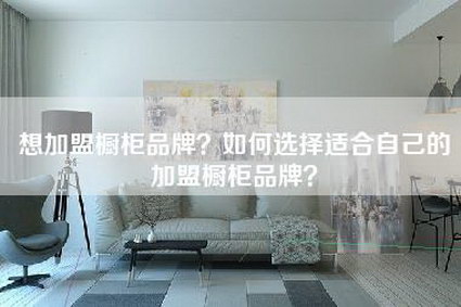 想加盟橱柜品牌？如何选择适合自己的加盟橱柜品牌？-第1张图片