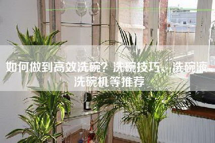 如何做到高效洗碗？洗碗技巧、洗碗液、洗碗机等推荐-第1张图片