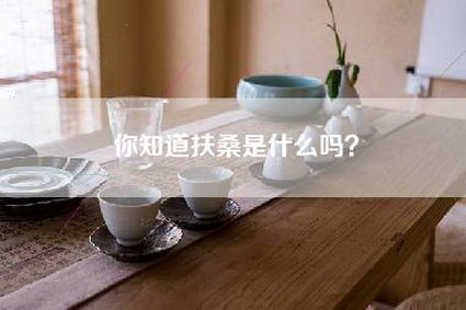 你知道扶桑是什么吗？-第1张图片