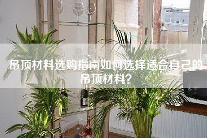 吊顶材料选购指南如何选择适合自己的吊顶材料？-第1张图片