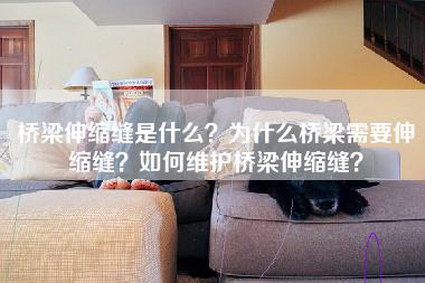 桥梁伸缩缝是什么？为什么桥梁需要伸缩缝？如何维护桥梁伸缩缝？-第1张图片