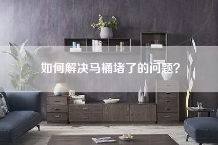 如何解决马桶堵了的问题?-第1张图片 如何解决马桶堵了的问题?-第1张图片