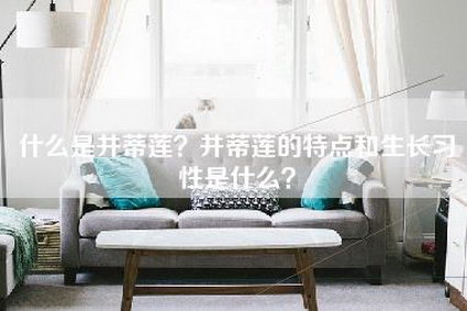 什么是并蒂莲？并蒂莲的特点和生长习性是什么？-第1张图片