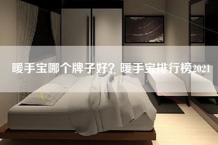 暖手宝哪个牌子好？暖手宝排行榜2021-第1张图片