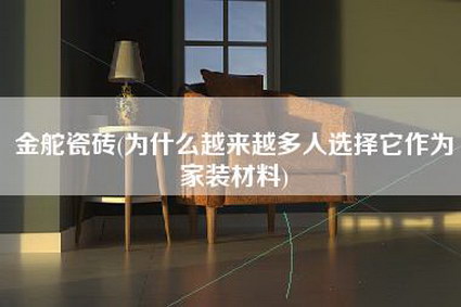 金舵瓷砖(为什么越来越多人选择它作为家装材料)-第1张图片