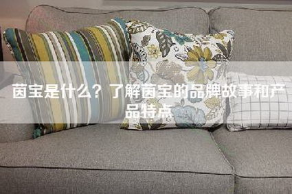 茵宝是什么？了解茵宝的品牌故事和产品特点-第1张图片