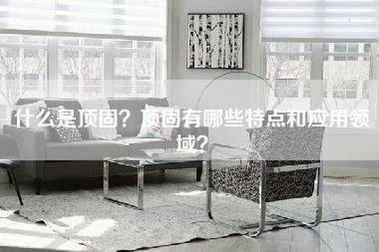 什么是顶固？顶固有哪些特点和应用领域？-第1张图片