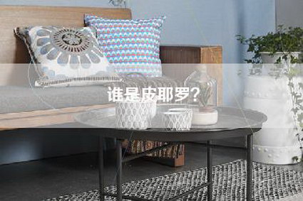 谁是皮耶罗？-第1张图片