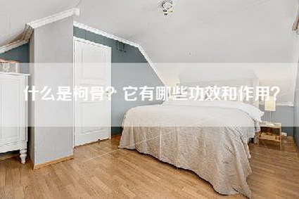 什么是枸骨?它有哪些功效和作用?-第1张图片 什么是枸骨?它有哪些功效和作用?-第1张图片