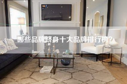 哪些品牌跻身十大品牌排行榜？-第1张图片