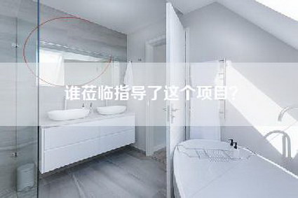 谁莅临指导了这个项目？-第1张图片